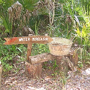 Picture 071